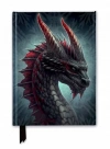 Kerem Beyit: Fierce Dragon (Foiled Journal) - zdjęcie