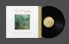Songs From A Secret Garden, Winyl - zdjęcie