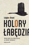 Kolory łabędzia. Kiedy ludzie nie mieszczą się w ramach instytucji - zdjęcie
