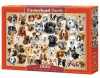 Puzzle 1500 elementów. Kolaż z psami - zdjęcie