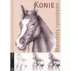 Konie Warsztaty rysunkowe - zdjęcie