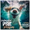 Kalendarz 2025 ścienny 330x330 Podwodne psie przygody - zdjęcie
