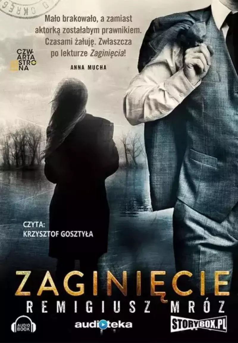 Zaginięcie. Audiobook Zaginięcie. Audiobook