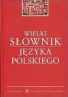 Wielki słownik języka polskiego - zdjęcie