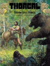 Thorgal. Słoneczny miecz. Tom 18 - zdjęcie