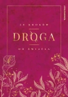 Droga. 28 kroków do Światła - zdjęcie