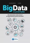 Big Data w przemyśle. Jak wykorzystać analizę danych do optymalizacji kosztów procesów? - zdjęcie