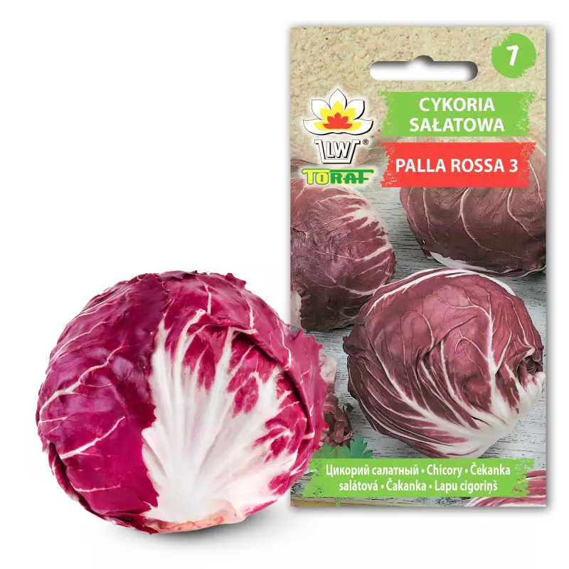 Toraf Nasiona warzyw | Cykoria Sałatowa Palla Rossa 3 | Opakowanie 5g