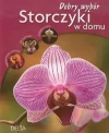 Storczyki w domu Dobry wybór - zdjęcie