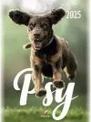 Kalendarz 2025 wieloplanszowy B4 Psy - zdjęcie