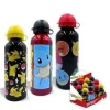 Bidon aluminiowy Pokemon, 500 ml - zdjęcie