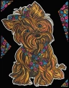 Kolorowanka Welwetowa Colorvelvet 47x35 cm Yorkshire Terrier + 12 flamastrów Cario - zdjęcie