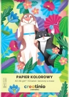 Papier Kolorowy A5/10k 80g Creatinio Fol A 20 - zdjęcie