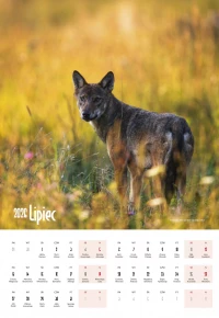 Bieszczady 2026. Kalendarz wieloplanszowy, zdjęcie 6