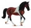 Klacz rasy Stallion Bay Pinto XL - zdjęcie