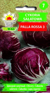 Toraf Nasiona warzyw | Cykoria Sałatowa Palla Rossa 3 | Opakowanie 5g, zdjęcie 2