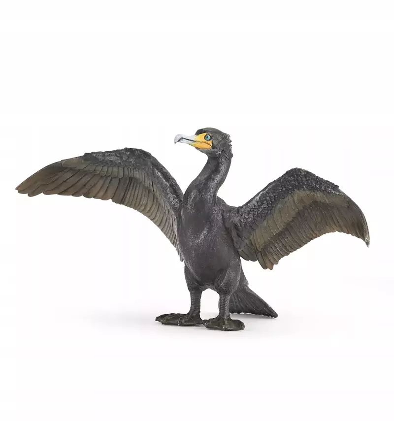 Kormoran Kormoran