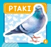 Ptaki - zdjęcie