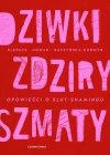 Dziwki, zdziry, szmaty. Opowieści o slut-shamingu - zdjęcie