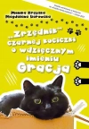 ?Zrzędnik? czarnej kociczki o wdzięcznym imieniu Gracja - zdjęcie