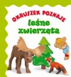 Okruszek poznaje leśne zwierzęta - zdjęcie