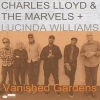 Vanished Gardens, 2 LP - zdjęcie