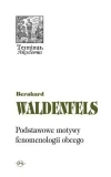 Podstawowe motywy fenomenologii obcego - zdjęcie