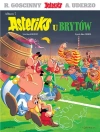 Asteriks T.7 Asteriks u Brytów - zdjęcie