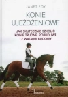 Konie ujeżdżeniowe - jak skutecznie szkolić konie - zdjęcie