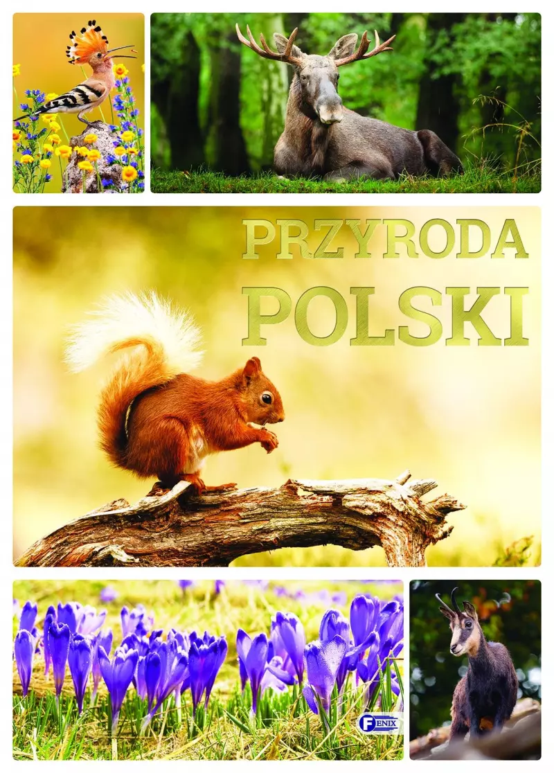 Przyroda Polski Przyroda Polski