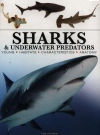Sharks & Underwater Predators [mini edition] - zdjęcie