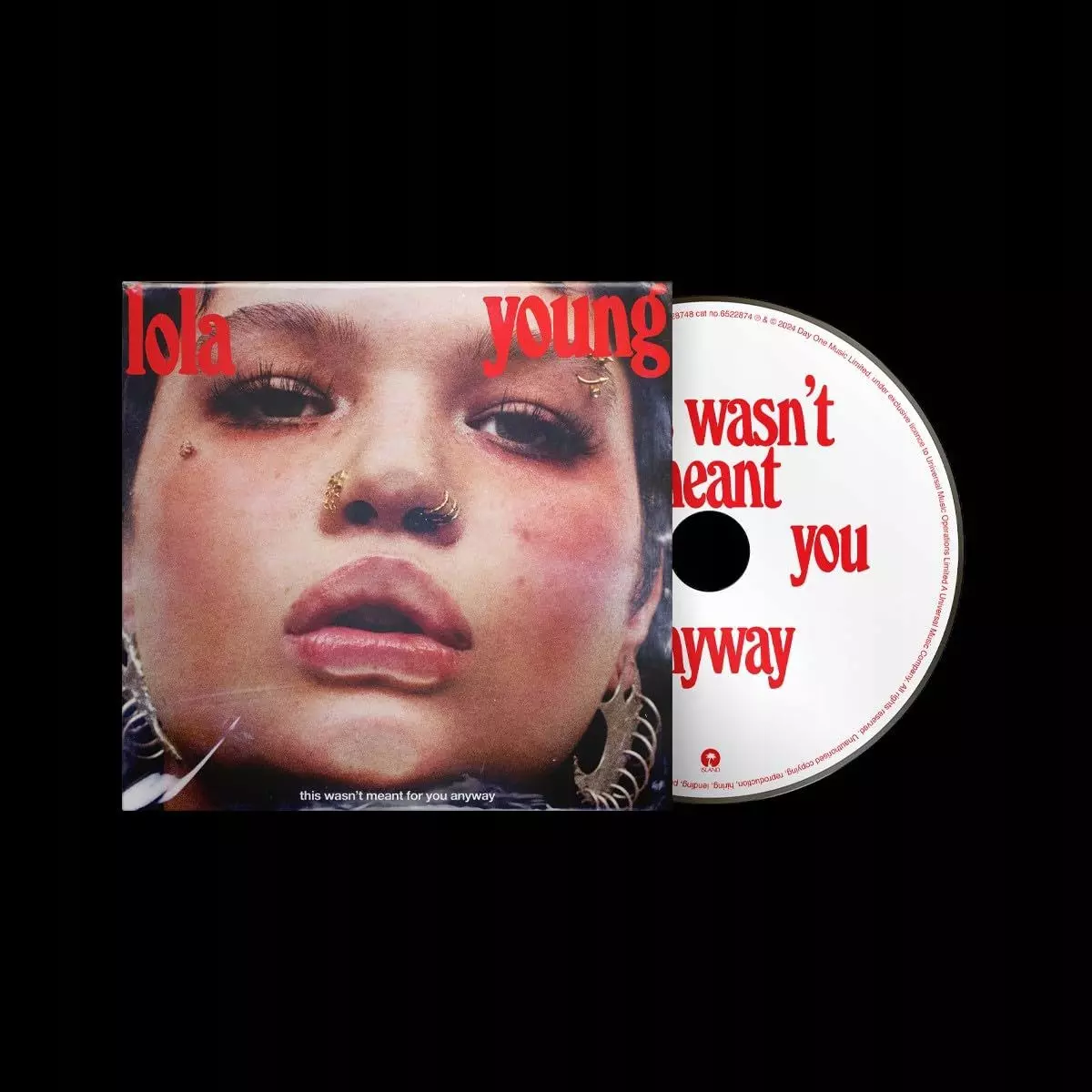 This Wasn't Meant For You Anyway, CD - Muzyka