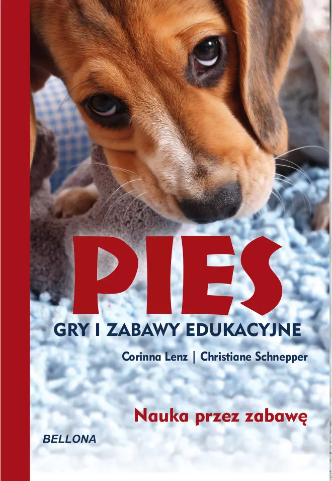 Pies. Gry i zabawy edukacyjne - Książki