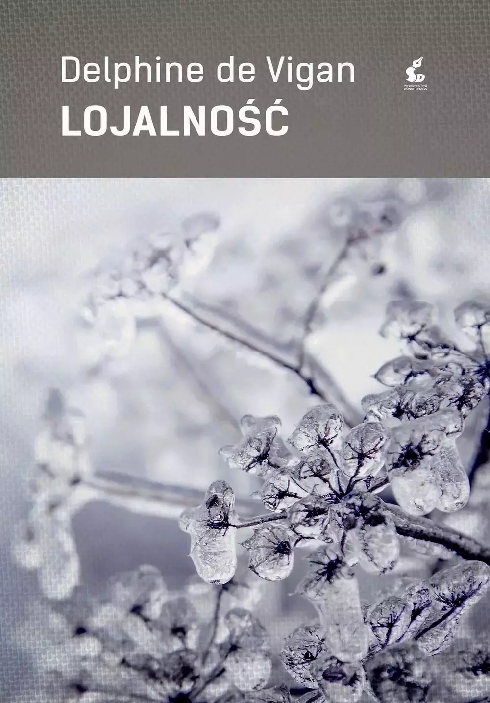 Lojalność - Książki