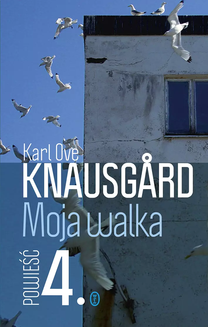 Moja walka. Powieść 4 - Książki