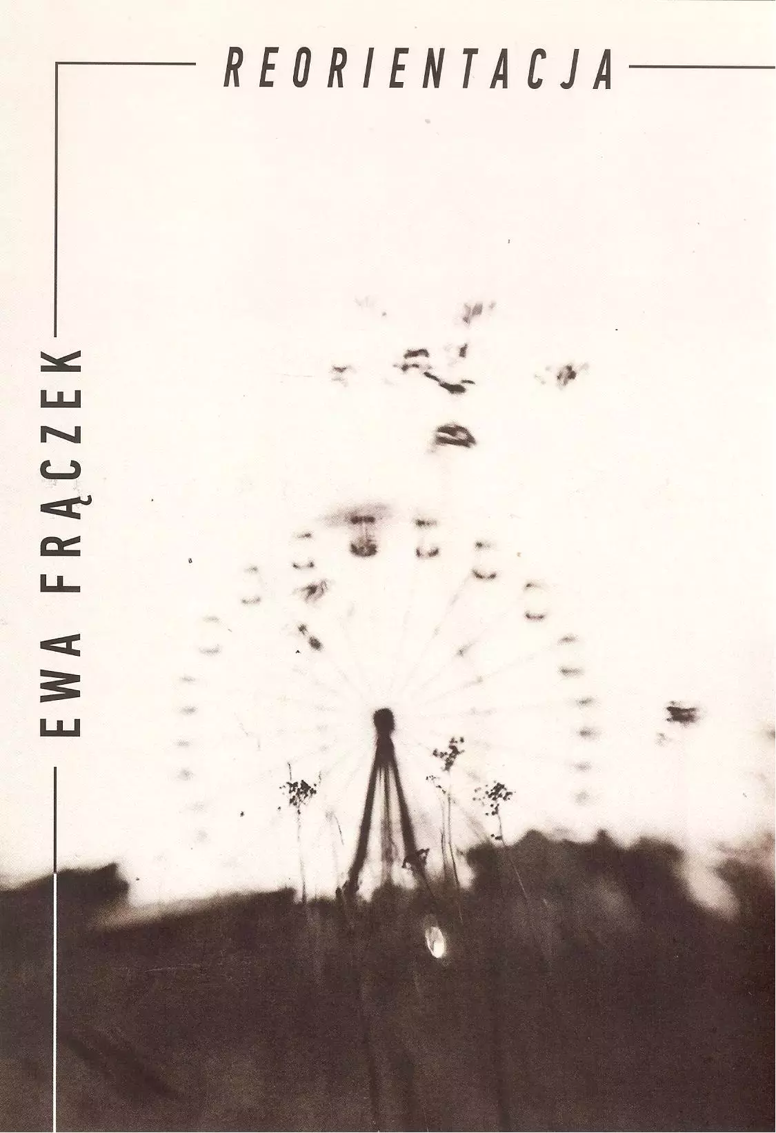 Reorientacja - Książki