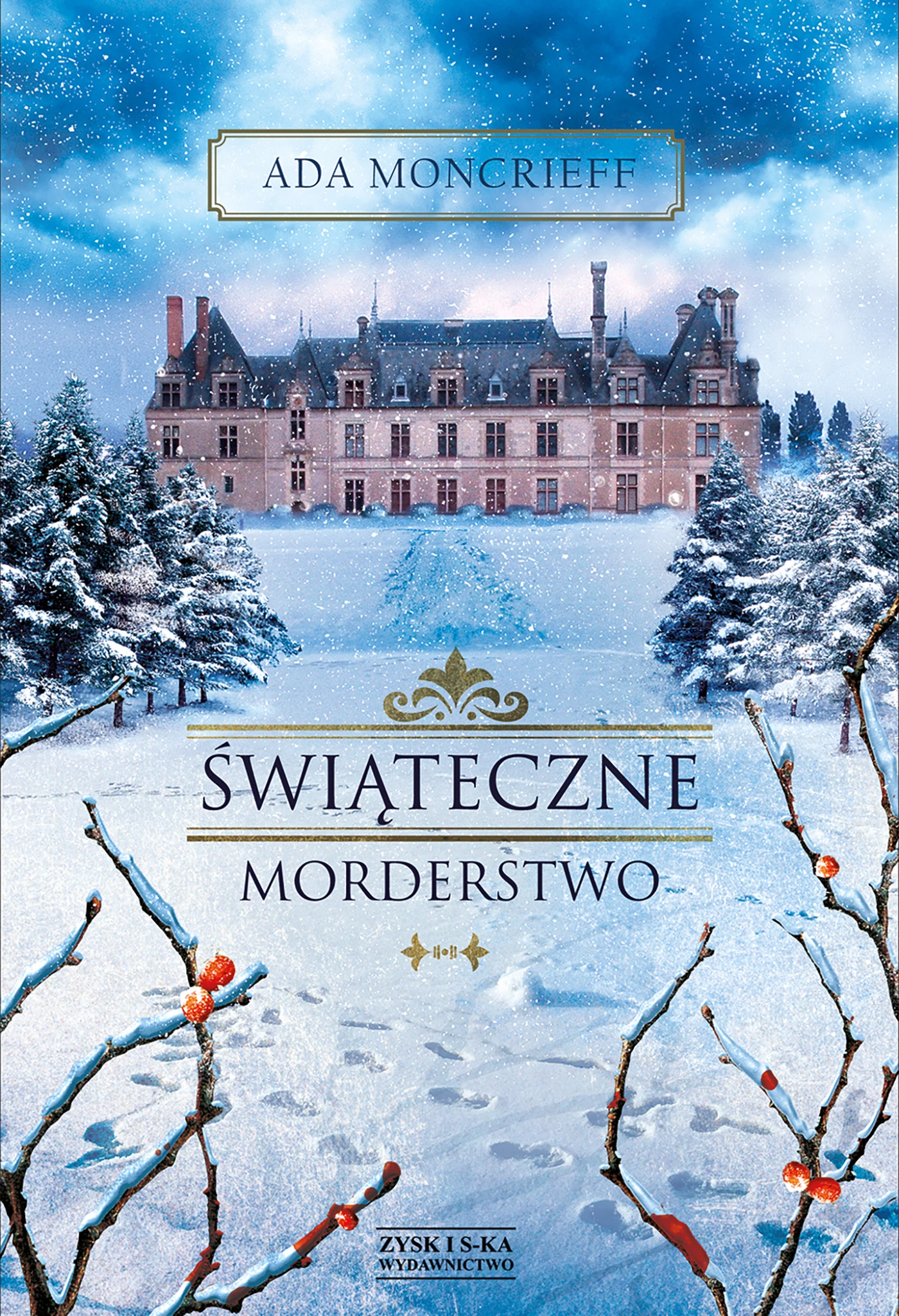Świąteczne morderstwo - Książki