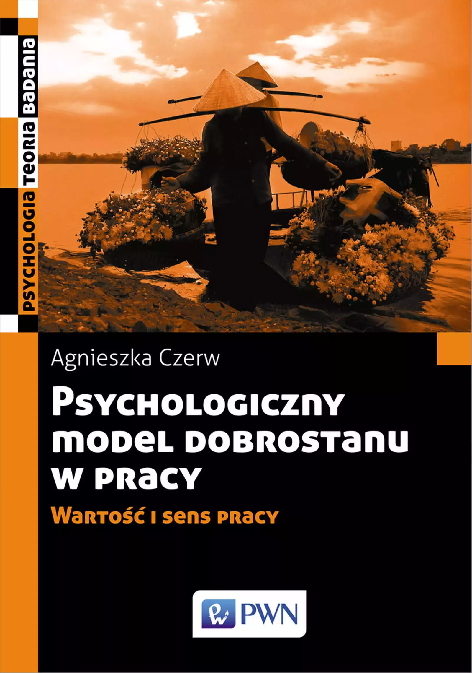 Psychologiczny model dobrostanu w pracy. Wartość i sens pracy - Książki