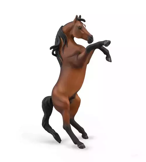Arabian Stallion - Rearing Bay - Gry