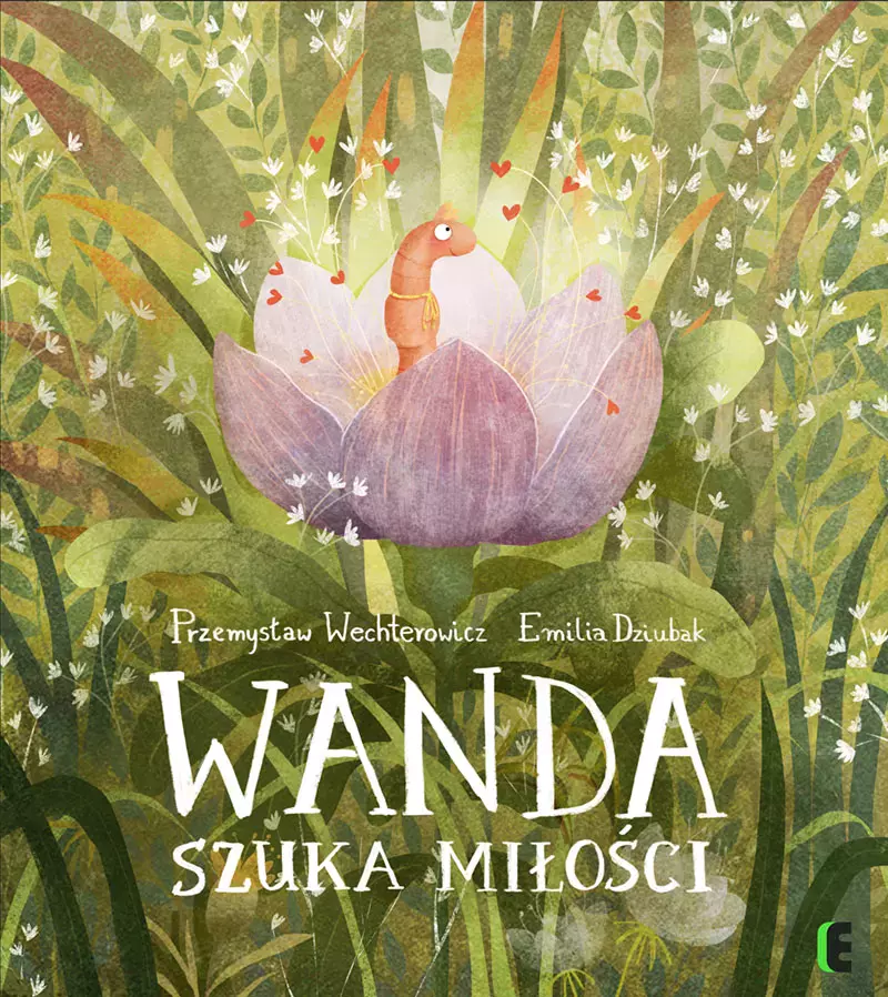 Wanda szuka miłości - Książki