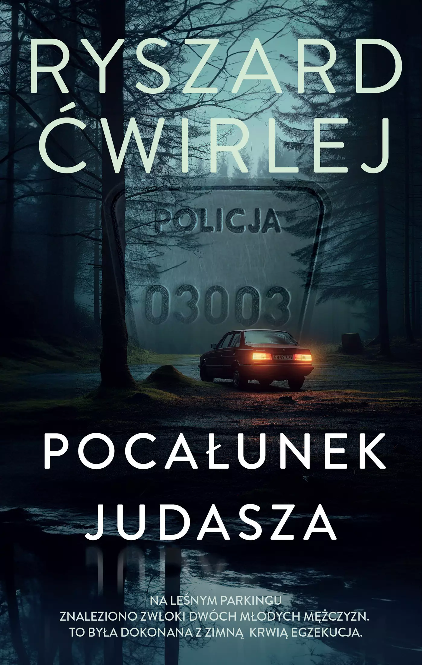 Pocałunek Judasza - Książki