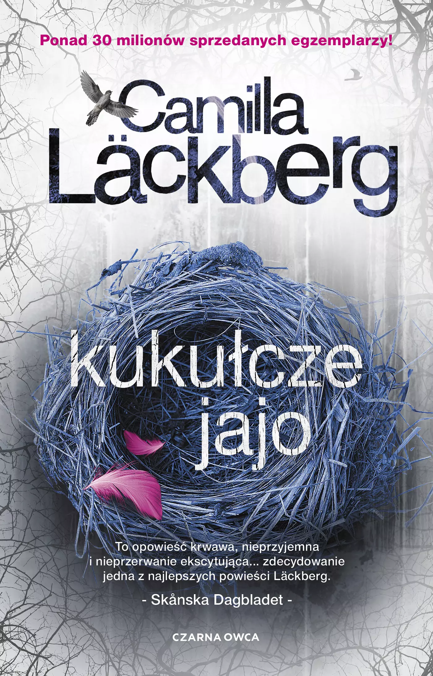 Fjällbacka. Tom 11. Kukułcze jajo - Książki