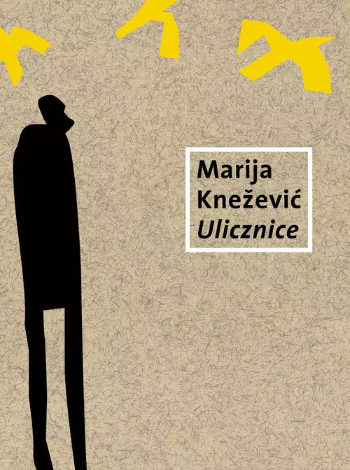 Ulicznice - Książki