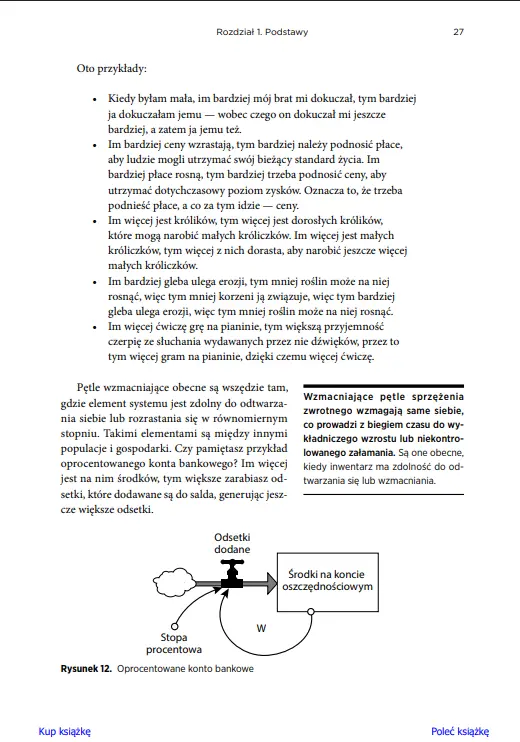 Myślenie systemowe. Wprowadzenie - Książki