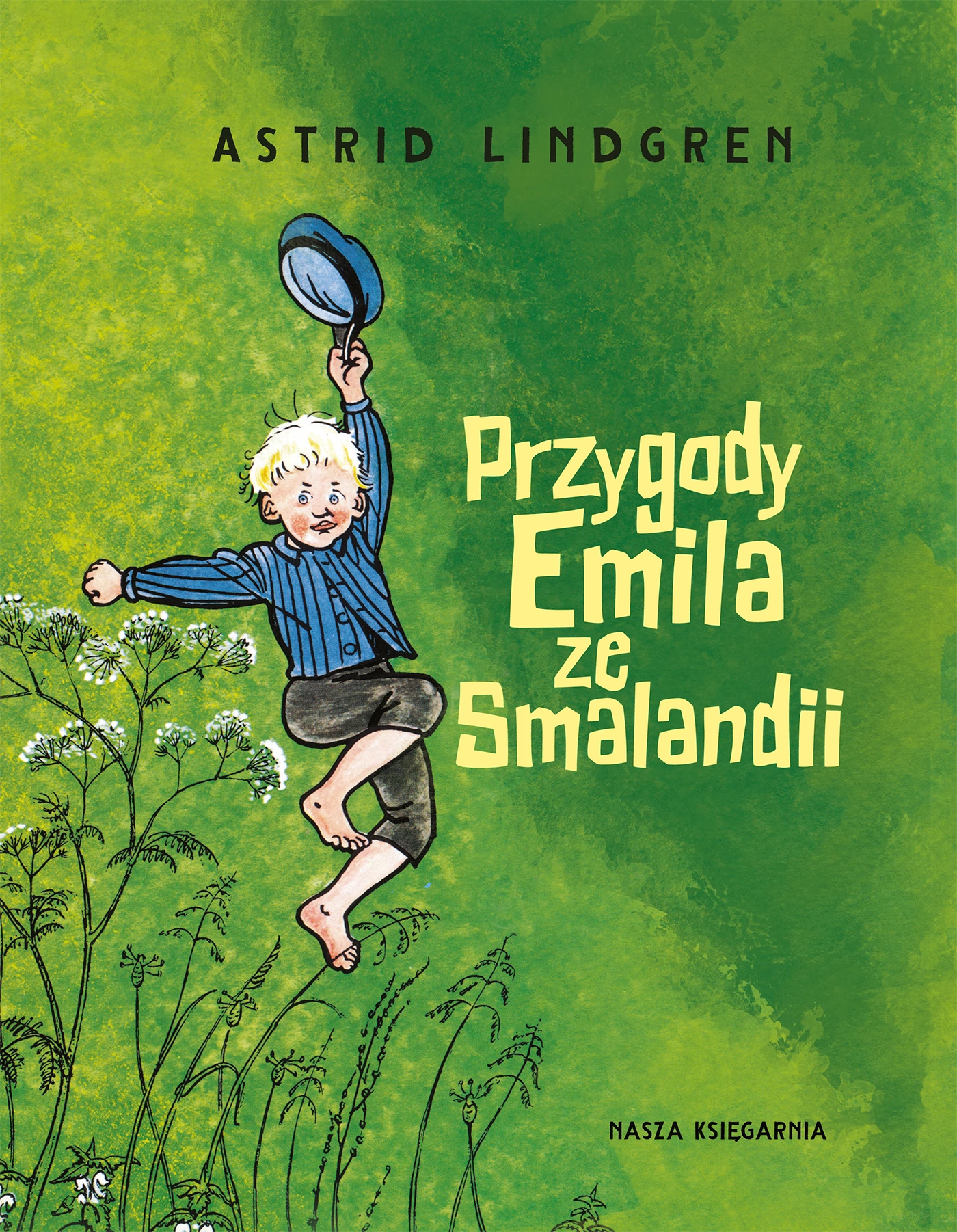 Przygody Emila ze Smalandii - Książki