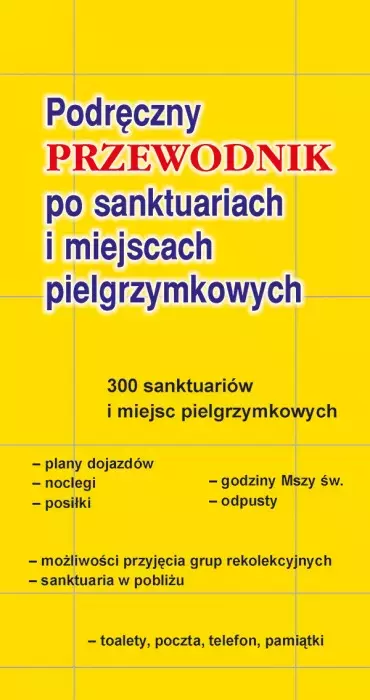 Przewodnik po sanktuariach i miejscach pielgrzymkowych - Książki