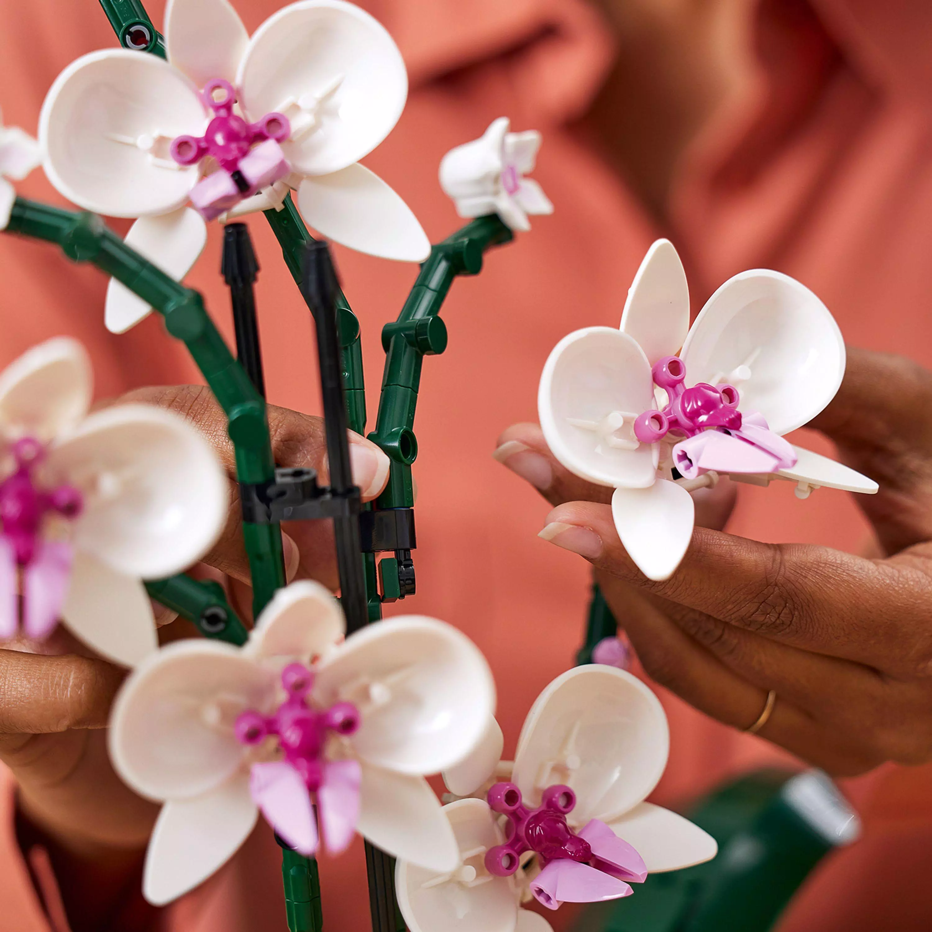 LEGO Icons Orchidea 10311 - Zabawki