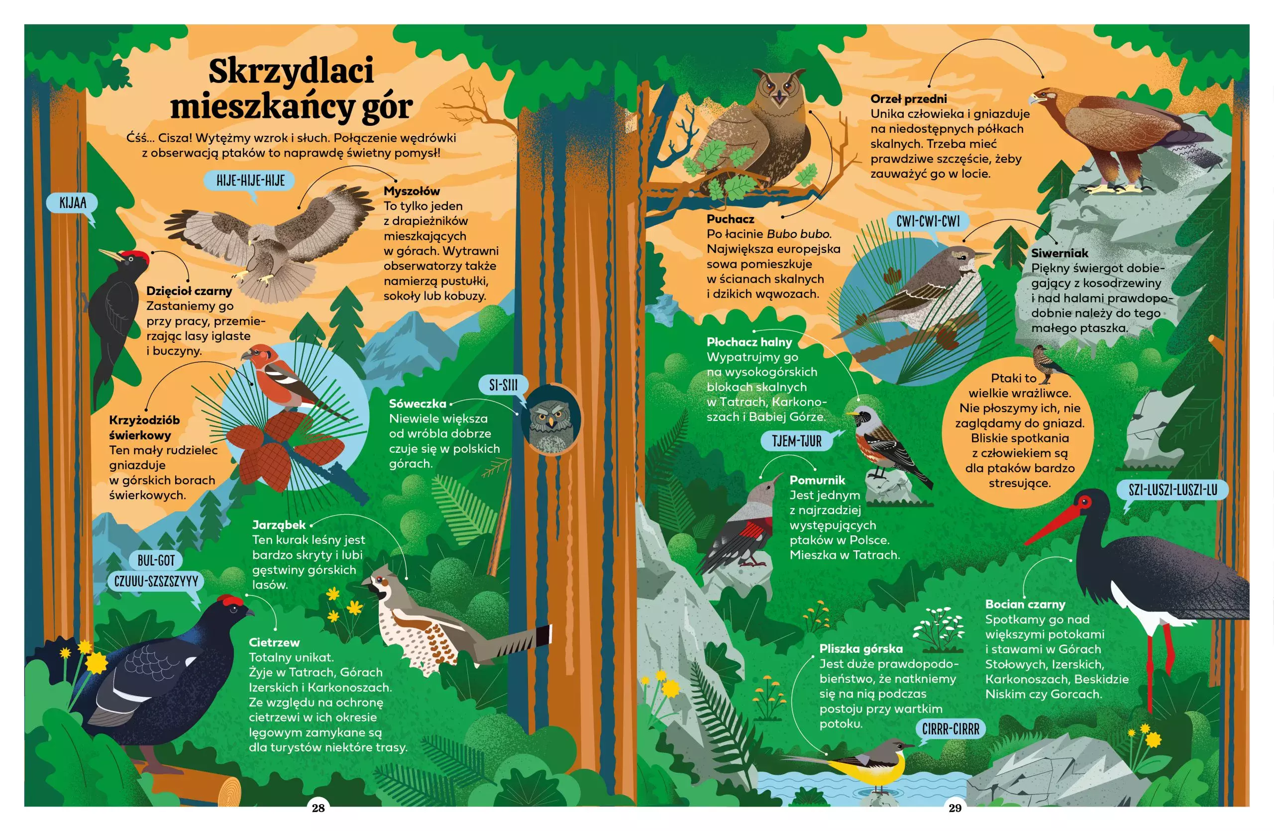 Poradnik młodych górzystów - Książki