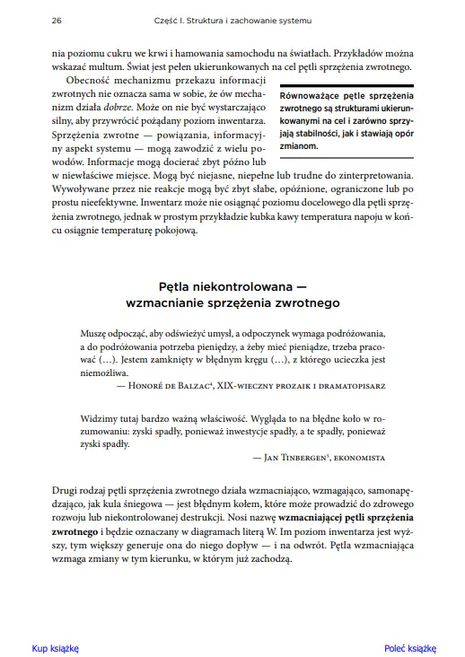Myślenie systemowe. Wprowadzenie - Książki