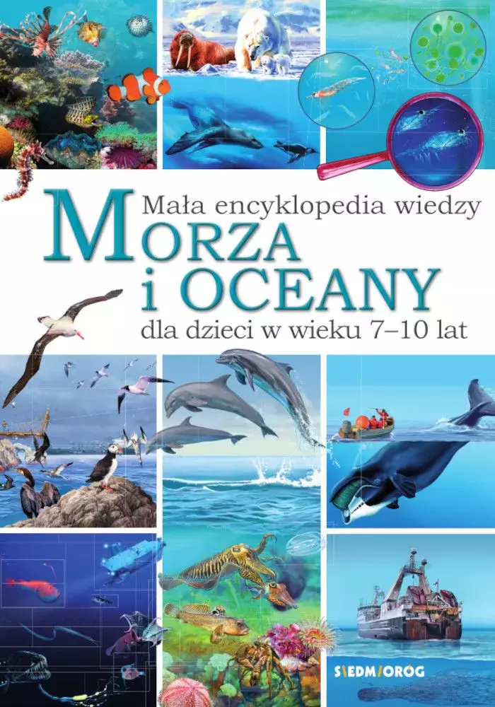 Mała encyklopedia wiedzy. Morza i oceany - Książki